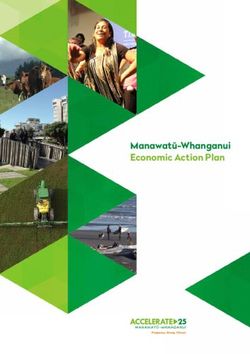 Manawatū-Whanganui Economic Action Plan - Horizons Regional ...