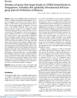 Review Shades of grey: the legal trade in CITES-listed birds in Singapore, notably the globally threatened African grey parrot Psittacus erithacus