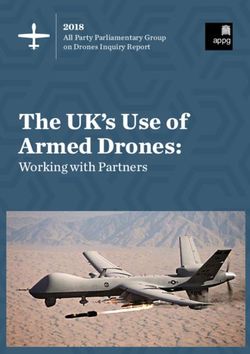The UK's Use of Armed Drones: Working with Partners 2018 - Blavatnik School of Government
