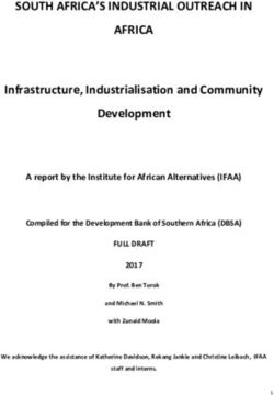 SOUTH AFRICA'S INDUSTRIAL OUTREACH IN AFRICA - Development ...