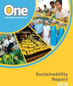 SUSTAINABILITY REPORT 2019 - AGROAMÉRICA