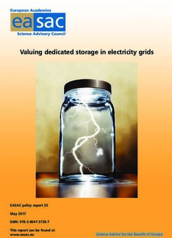 Ea sac Valuing dedicated storage in electricity grids - EASAC