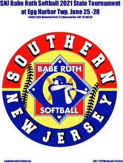 Snj Babe Ruth Softball State Tournament At Egg Harbor Twp June