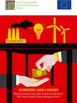 WINNERS AND LOSERS Who benefits from high-level corruption in the South East Europe energy sector?
