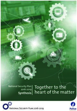 Together to the heart of the matter - Synthesis National Security Plan 2016-2019 - Police