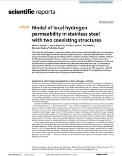 Model Of Local Hydrogen Permeability In Stainless Steel With Two