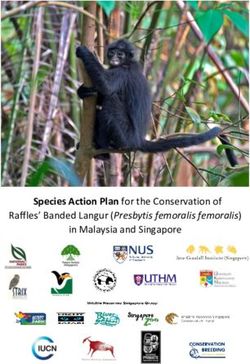 Species Action Plan For The Conservation Of Raffles Banded Langur