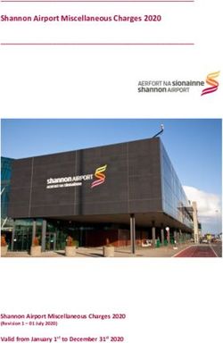 Shannon Airport Miscellaneous Charges 2020 - Shannon Airport Miscellaneous Charges 2020