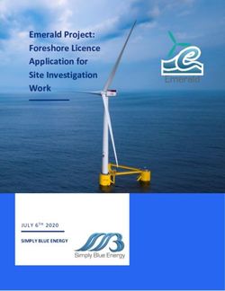 Emerald Project: Foreshore Licence Application for Site Investigation Work - JULY 6TH 2020