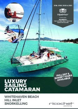 CATAMARAN WHITEHAVEN BEACH HILL INLET SNORKELLING - NUMBER 1 2018, 2019, 2020 & 2021 - Ricochet Yachting