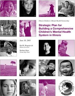 Strategic Plan for Building a Comprehensive Children's Mental Health System in Illinois - June 30, 2005