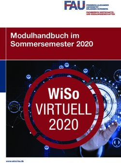 Modulhandbuch im Sommersemester 2020 - www.wiso.fau.de