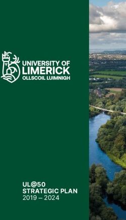 UL@50 STRATEGIC PLAN 2019 2024 - University of Limerick