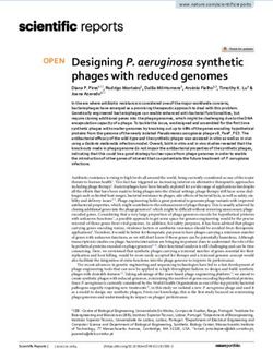 Designing P. aeruginosa synthetic phages with reduced genomes