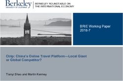 Ctrip: China's Online Travel Platform-Local Giant or Global Competitor? - BRIE Working Paper 2018-7