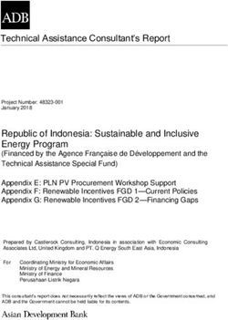 Technical Assistance Consultant's Report - Sustainable and ...