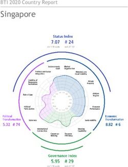 Singapore BTI 2020 Country Report - Bertelsmann Transformation Index