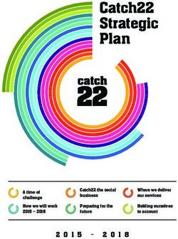 Catch22 Strategic Plan 2015 - 2018 Catch22 the social business