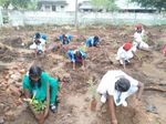 Auroville Greenwork in the larger context of Bioregional Conservation