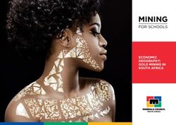 MINING FOR SCHOOLS ECONOMIC GEOGRAPHY: GOLD MINING IN SOUTH AFRICA