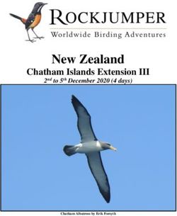 New Zealand Chatham Islands Extension III - 2nd to 5th December 2020 (4 days) - Rockjumper Birding