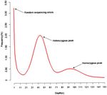 Draft genome of the herbaceous bamboo Raddia distichophylla