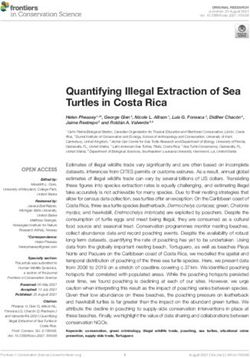 Quantifying Illegal Extraction of Sea Turtles in Costa Rica