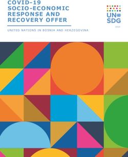 COVID-19 SOCIO-ECONOMIC RESPONSE AND RECOVERY OFFER - UNITED NATIONS IN BOSNIA AND HERZEGOVINA - ReliefWeb