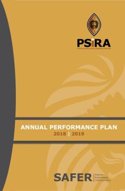 SAFER HOMES ANNUAL PERFORMANCE PLAN - 2018 | 2019 - PSIRA