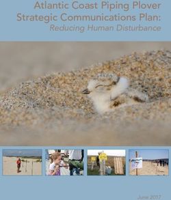 Atlantic Coast Piping Plover Strategic Communications Plan: Reducing Human Disturbance