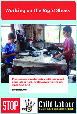 Working on the Right Shoes - Progress made in addressing child labour and other labour rights by 28 footwear companies since June 2012