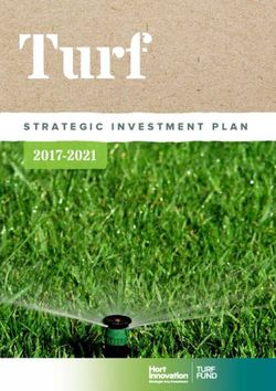 Turf 2017-2021 STRATEGIC INVESTMENT PLAN - Hort Innovation