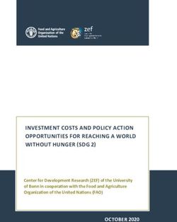 INVESTMENT COSTS AND POLICY ACTION OPPORTUNITIES FOR REACHING A WORLD WITHOUT HUNGER (SDG 2) - Bundesministerium für wirtschaftliche ...