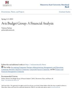 Avis Budget Group: A Financial Analysis - Minnesota ...