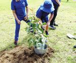 NAIDOC WEEK - Adam Road Primary School 9796 3000 www.adamroad.wa.edu.au Email