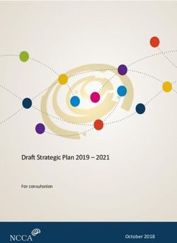 Draft Strategic Plan 2019 2021 - For consultation October 2018 - NCCA