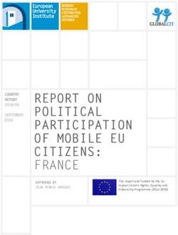 REPORT ON POLITICAL PARTICIPATION OF MOBILE EU CITIZENS: FRANCE COUNTRY REPORT - FAIR EU