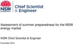 Assessment of summer preparedness for the NSW energy market - NSW Chief Scientist & Engineer