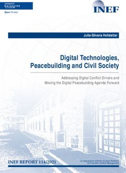 Digital Technologies, Peacebuilding and Civil Society - Uni-DUE