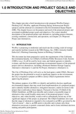 1.0 INTRODUCTION AND PROJECT GOALS AND OBJECTIVES - City of ...