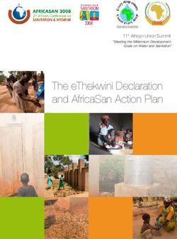 The eThekwini Declaration and AfricaSan Action Plan - WSP