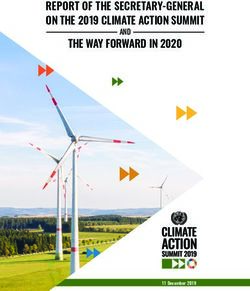 REPORT OF THE SECRETARY-GENERAL ON THE 2019 CLIMATE ACTION SUMMIT THE WAY FORWARD IN 2020