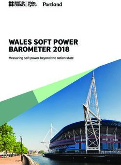 WALES SOFT POWER BAROMETER 2018 - Measuring soft power beyond the nation-state - British Council