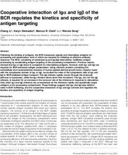 Cooperative interaction of Ig a and Ig b of the BCR regulates the kinetics and specificity of antigen targeting