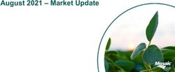 August 2021 - Market Update