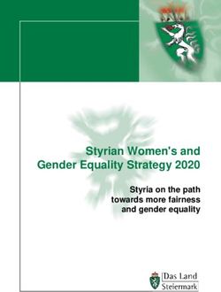Styrian Women's and Gender Equality Strategy 2020 - Styria on the path towards more fairness and gender equality - Land ...