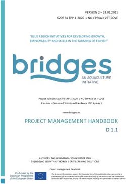 PROJECT MANAGEMENT HANDBOOK D 1.1 - Bridges