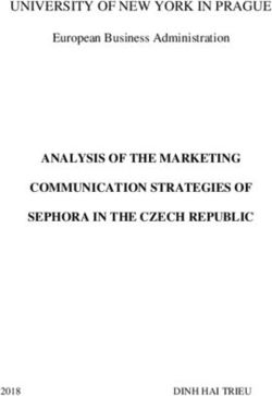 UNIVERSITY OF NEW YORK IN PRAGUE - ANALYSIS OF THE MARKETING COMMUNICATION STRATEGIES OF SEPHORA IN THE CZECH REPUBLIC - UNYP eLearning