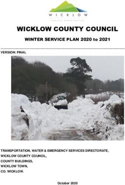 WICKLOW COUNTY COUNCIL - WINTER SERVICE PLAN 2020 to 2021 - Wicklow County ...
