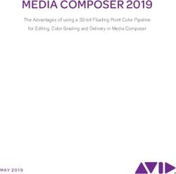 MEDIA COMPOSER 2019 - WHITE PAPER - Avid